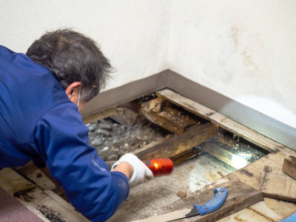 Best Mold Testing  in Smithfield, UT