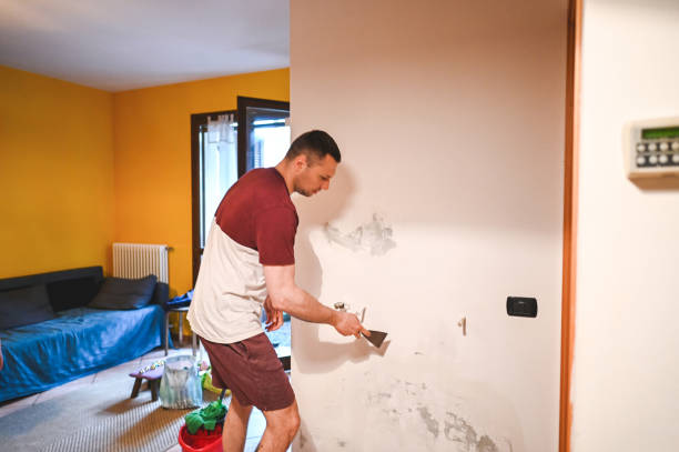 Best Best Mold Removal Companies  in Smithfield, UT